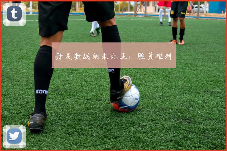 丹麦激战纳米比亚,胜负难料