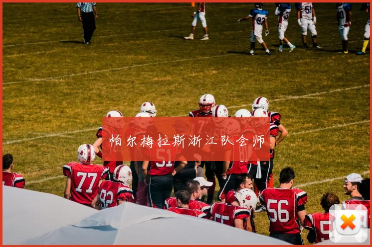 帕尔梅拉斯浙江队会师