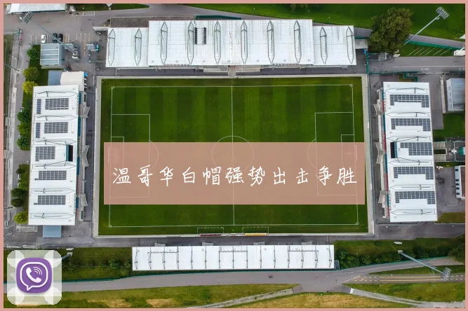 温哥华白帽强势出击争胜