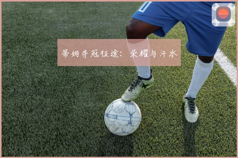 蒂姆夺冠征途：荣耀与汗水
