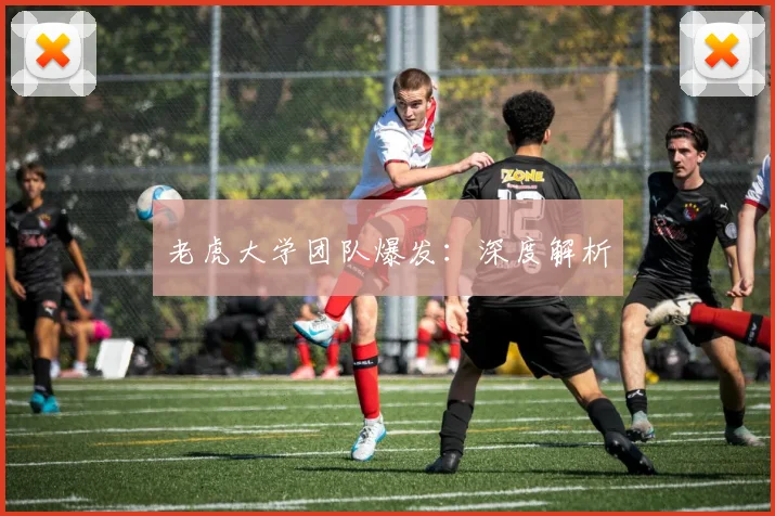老虎大学团队爆发:深度解析