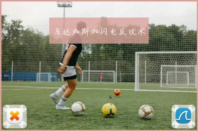 马达加斯加闪电反攻术