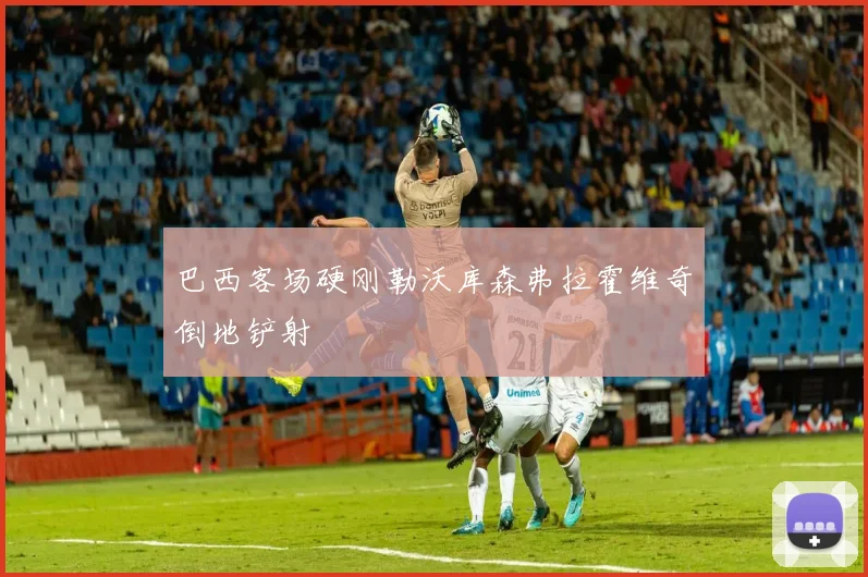 巴西客场硬刚勒沃库森弗拉霍维奇倒地铲射