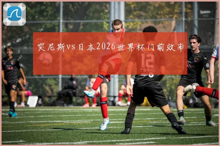 突尼斯vs日本2026世界杯门前效率