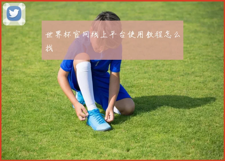世界杯官网线上平台使用教程怎么找