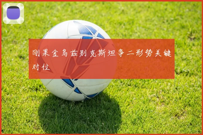 刚果金乌兹别克斯坦争二形势关键对位
