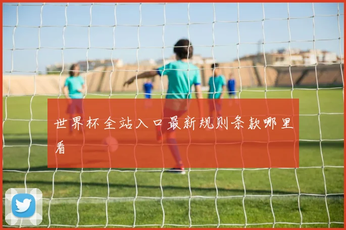 世界杯全站入口最新规则条款哪里看