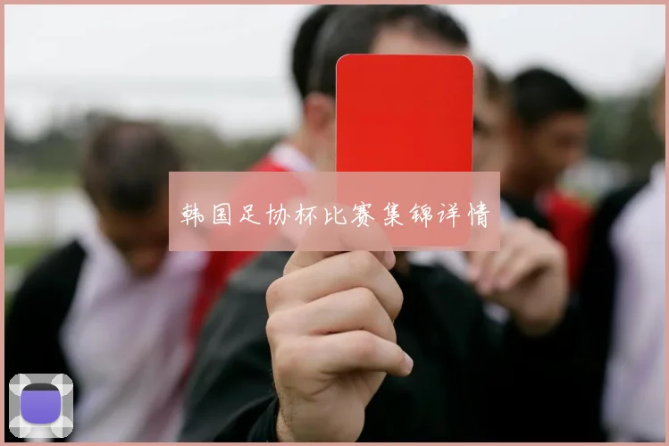 韩国足协杯比赛集锦详情